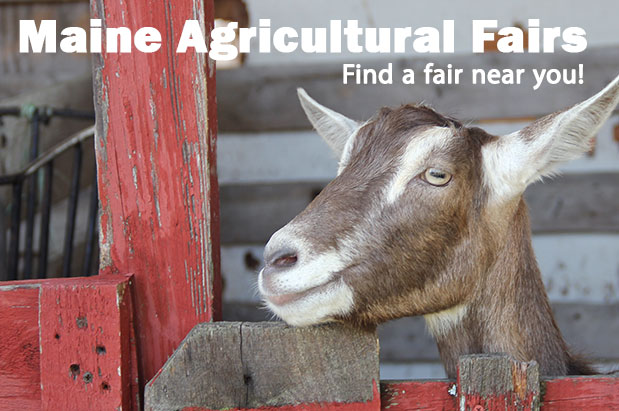 Maine State Fairs