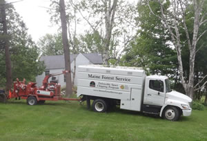 Chipper and truck on Cushing Island