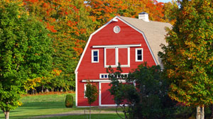 Aroostook County Foliage with Barn