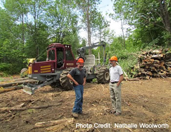 Two loggers standing in a log yard.