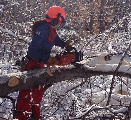 Member at work