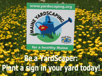 Be a YardScaper: Plant a sign in your yard today!