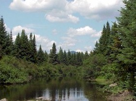 Cupsuptic river