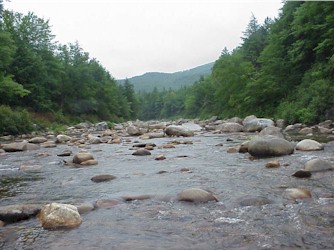 wild river (Maine)