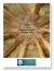 DHHS Reference Book 2009
