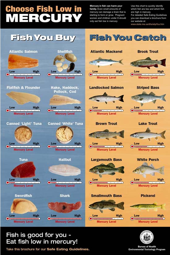 The following poster identifies the typical average amounts of mercury in