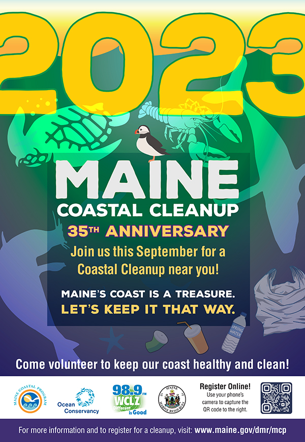 Cleanup poster