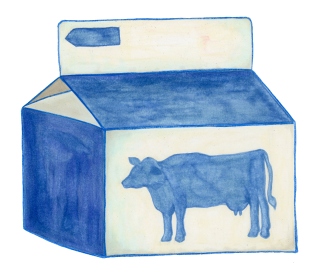 Drawing of a carton of milk