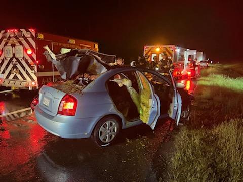 Car v moose crash