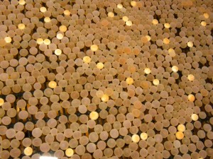 Fish eggs incubating.