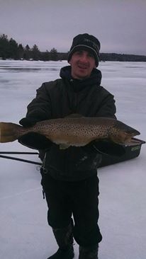 Molasess Pond Brown Trout Winter 2014