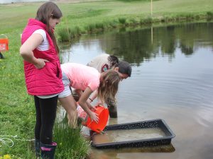 Students from Center Drive School in Orrington pour bait fish into bait bin to attract a great blue heron. (Photo by Nancy Swanson)