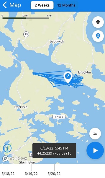Screenshot of a map of Deer Isle and the track of movements by a great blue heron.