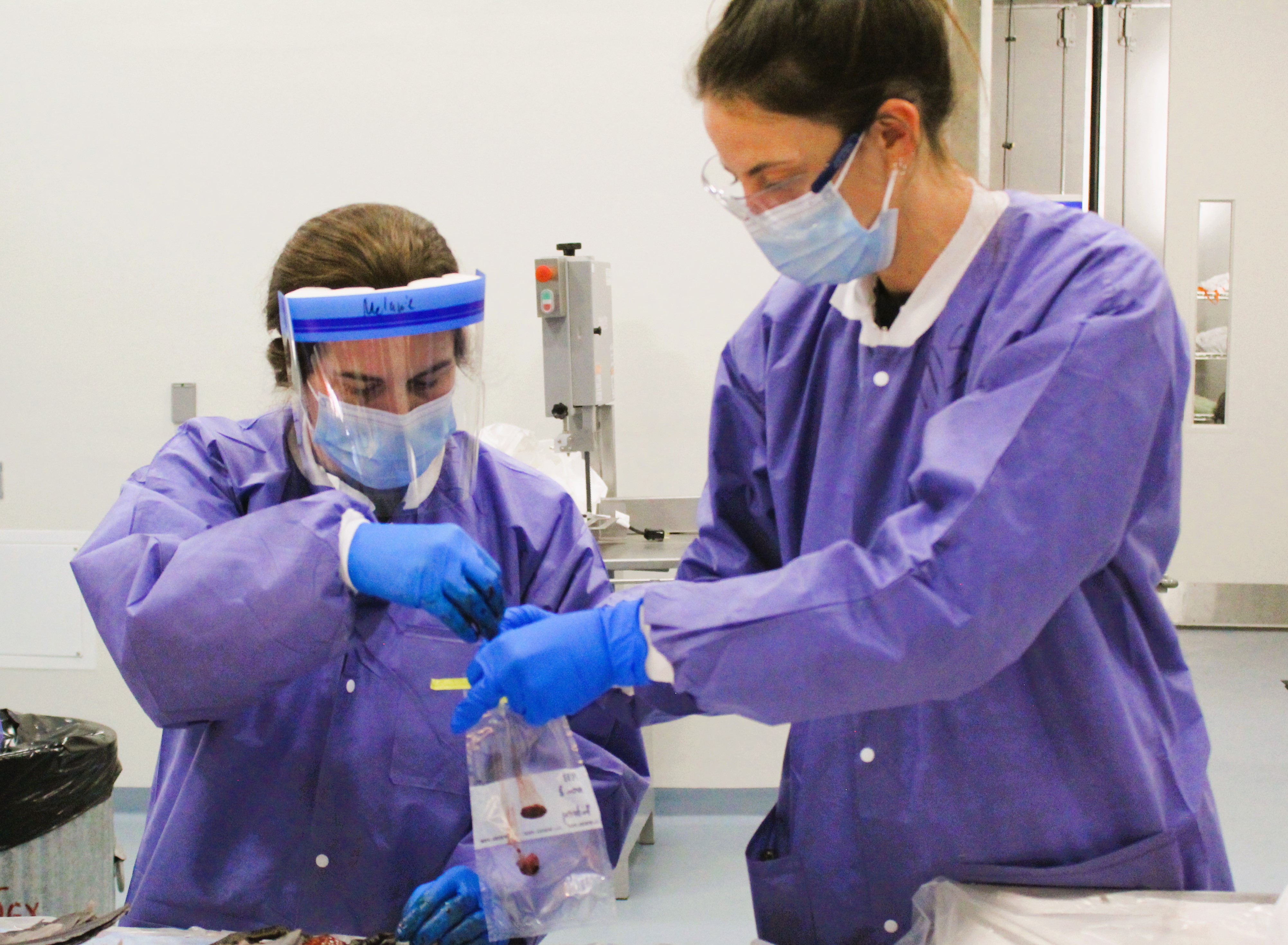 Two scientists in lab coats, masks and gloves placing a tissue sample in a bag.
