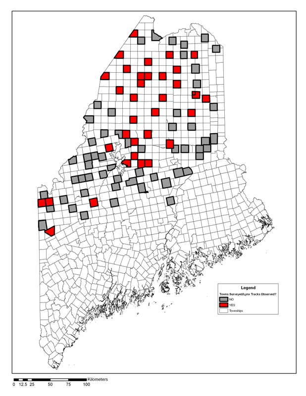 regional survey