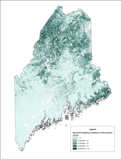 spruce fir map