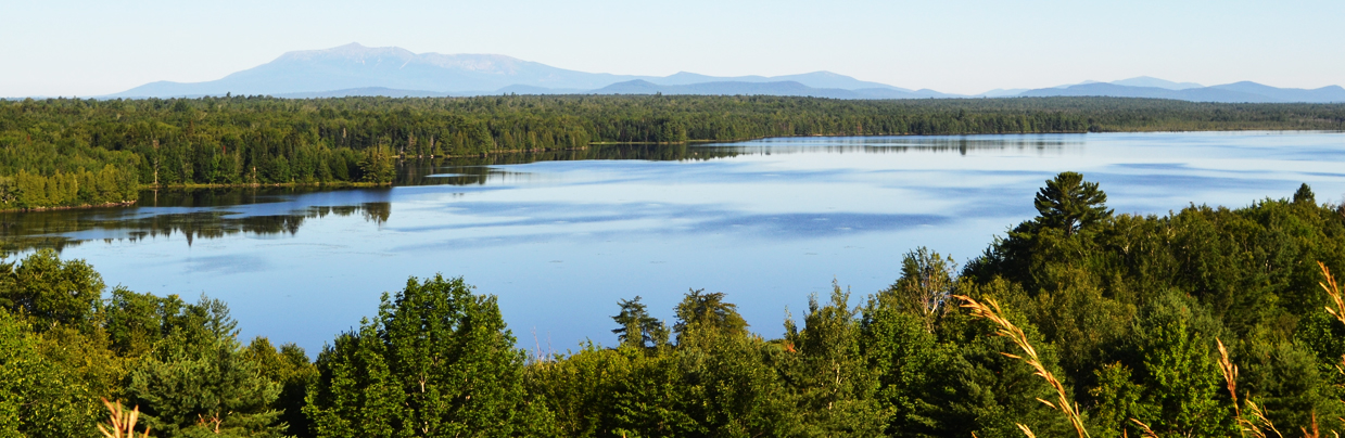 katahdin mountain, pine trees and lake