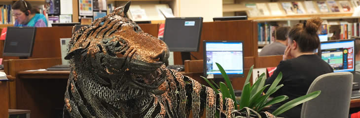 online catalog and free wifi at the Library