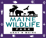 Maine Wildlife Park Logo