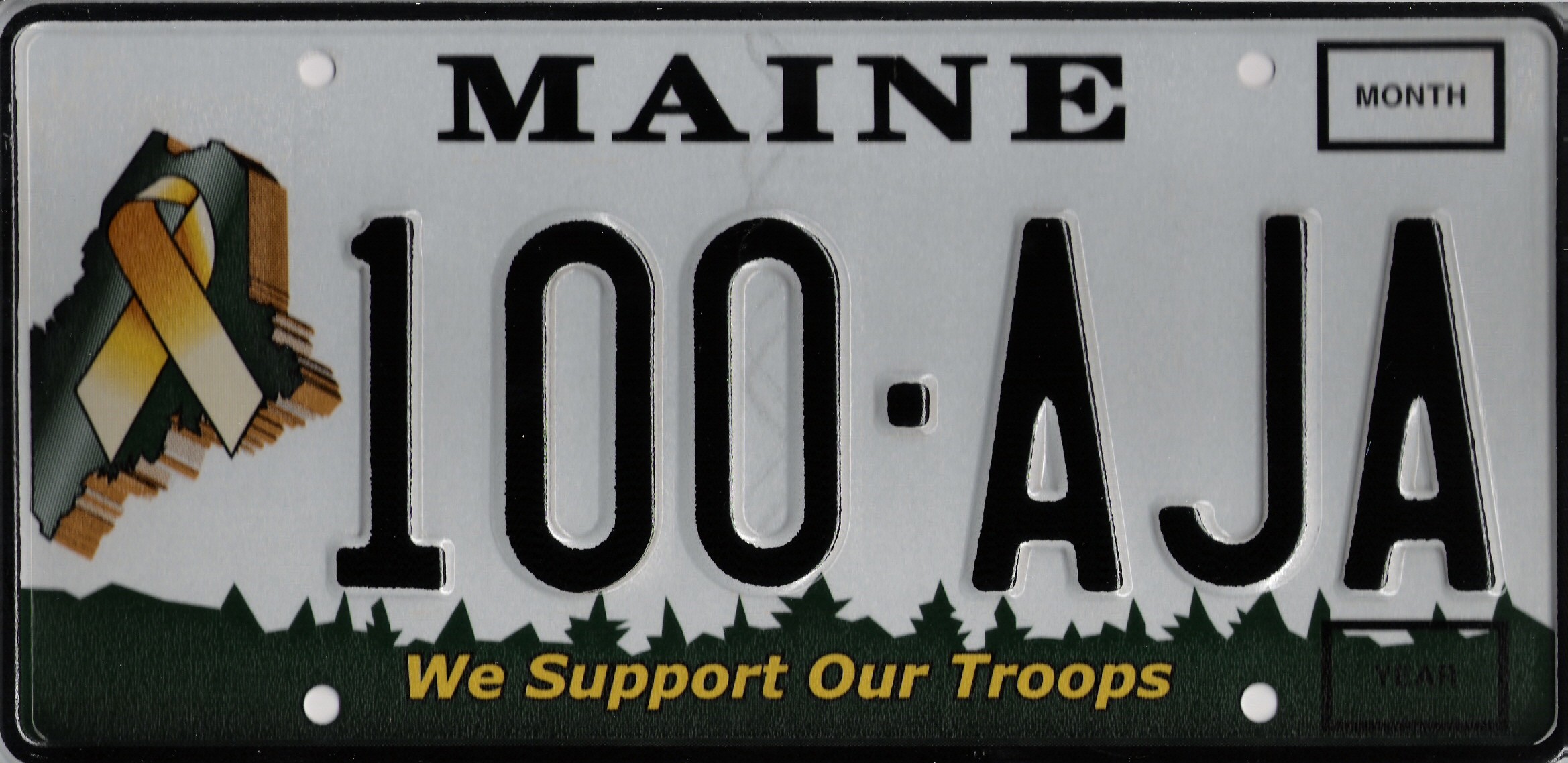 Image of the  Support Our Troops Plate