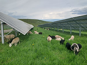 Little Ridge Farm's Barn. Photo Courtesy of Revision Energy.