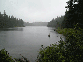 Abby Pond in Bowmantown Twp.