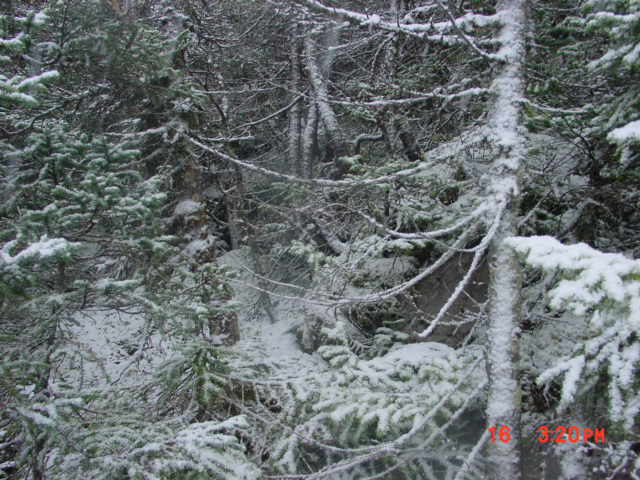 P02_Taken_Near_15_Showing_Boulders_&_Voids.jpg