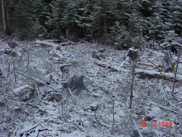 P06_Same_Location_As_Photo_5_But_Looking_Down_Gradient.jpg