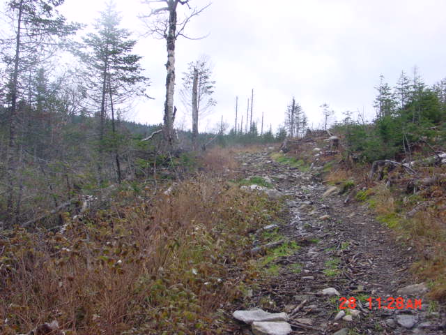 P07_Between_Points_9_And_10_Looking_Toward_10.jpg