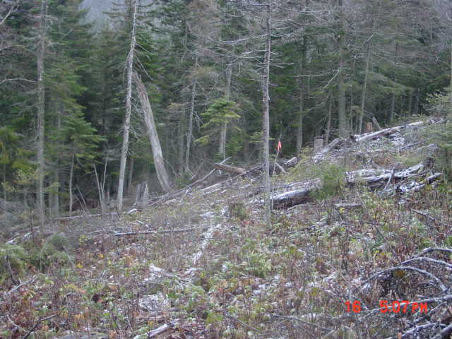 P07_Looking_From_5_To_4.jpg