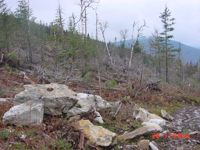 P08_Between_Points_9_And_10_Looking_Toward_9.jpg
