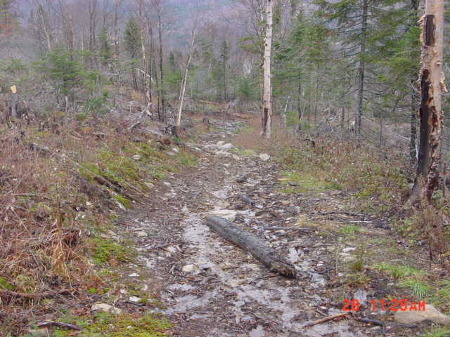 P09_Between_Points_9_And_10_Looking_Down_Hill.jpg