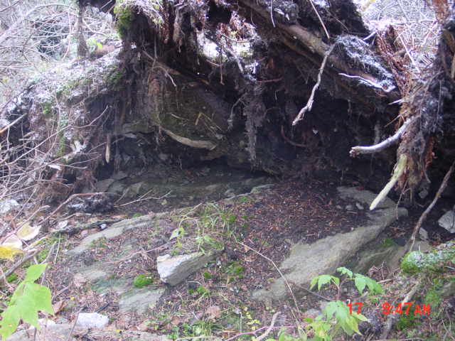 P11_Bedrock_Near_Point_22.jpg