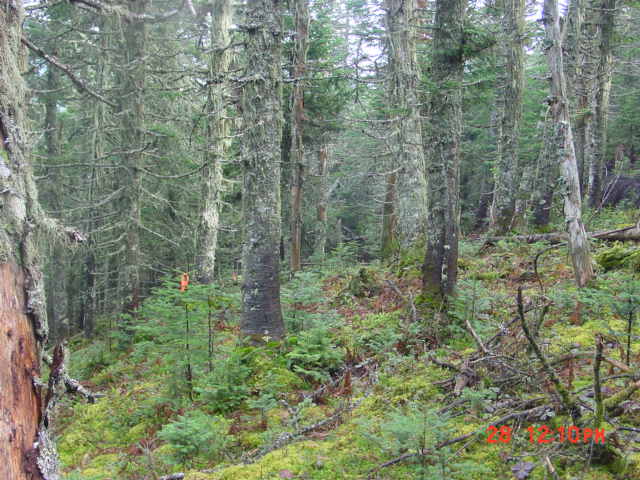 P11_Near_Point_12.jpg