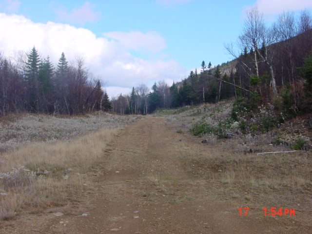 P26_Same_Location_As_P25_Looking_North_On_Access_Trail.jpg