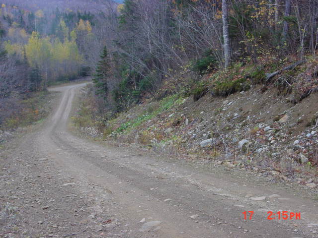 P29_Looking_Down_Steep_Access_Road_Near_Bc_#2.jpg