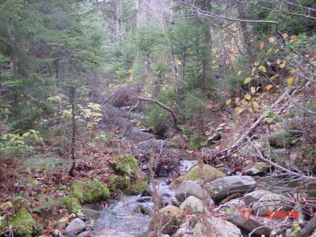 P41_Pt_3_At_Stream_Crossing_Proposal_Bridge_Crossing_#1.jpg