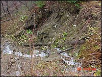 P01_Wash_Out_Along_Re6_A_Near_Tamarak_Trees.jpg