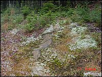 P10_Bedrock_Outcrop_Near_Point_20.jpg