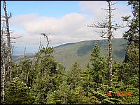 P13_Near_Point_15.jpg