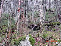 P17_Near_Point_28_Loose_Boulders.jpg