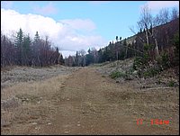 P26_Same_Location_As_P25_Looking_North_On_Access_Trail.jpg
