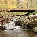 Skidder bridge over stream