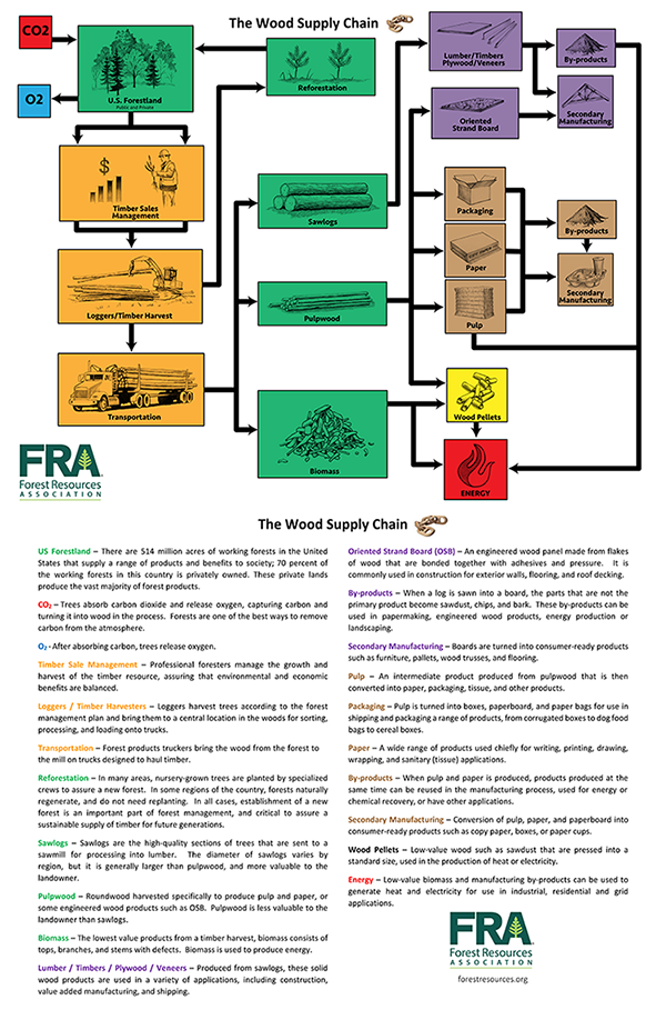 Illustration of Wood Supply Chain and definitions of each part. Credit: Eric Kingsley, Forest Resources Association