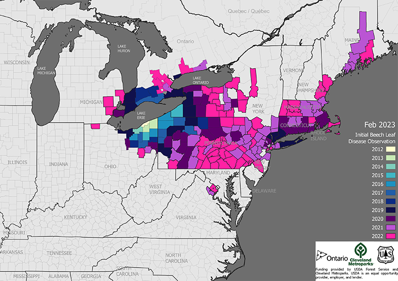 Current Beech Leaf Disease Distribution, January 2023