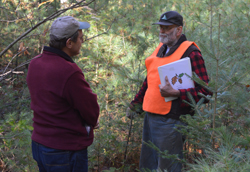 Consulting forester with wood pile