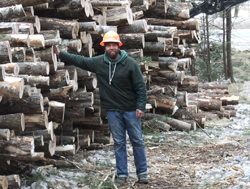 Consulting forester with wood pile
