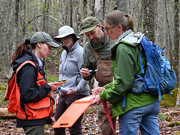 A Maine Forest Service District Forester looking over information with three people in the woods.