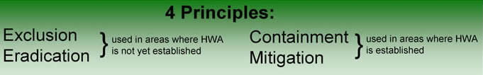 Four Management Principles:  Exclusion and Eradication used where HWA is not established and Containment and Mitigation used where HWA is established