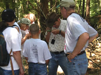 Scott Costa (center) and volunteers examine hemlock twigs for evidence of hemlock woolly adelgid